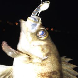 スーパーボウルでメバル